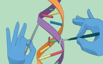 科学水教学反思精选8篇