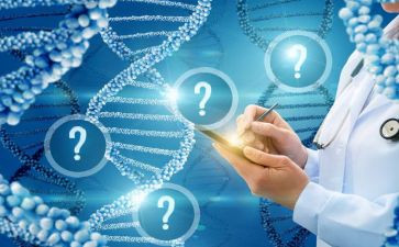 空气的科学教案模板6篇