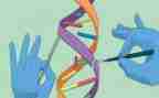 桥科学教案通用8篇