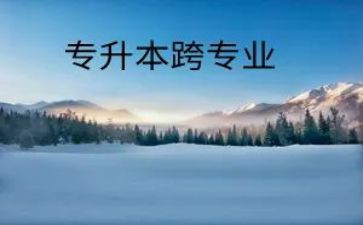 跨专业申请书模板8篇