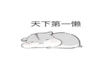 关于懒的作文通用6篇