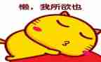 做一个懒老师读后感6篇