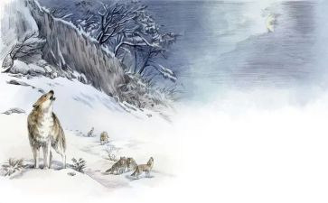 狼王梦的读后感优质6篇