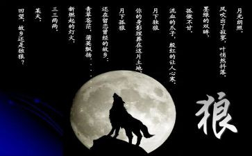 《狼王梦》读后感优秀作文5篇