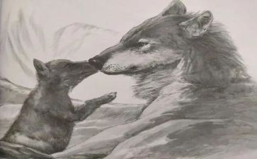 读《狼王梦》心得体会推荐5篇