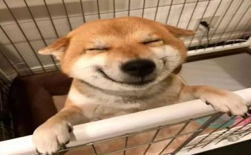 音乐专业自我鉴定精选8篇