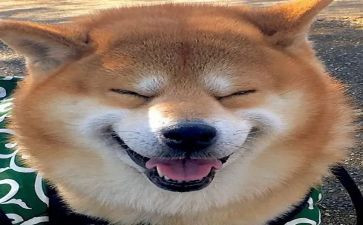 我读书我成长我快乐演讲稿5篇