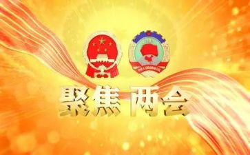18两会大学生心得体会7篇