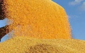 粮食企业述职报告6篇