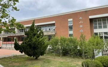 辽师团委工作计划参考7篇