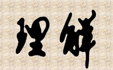 理解的心得体会8篇