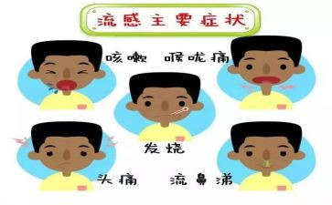流感教育教案8篇