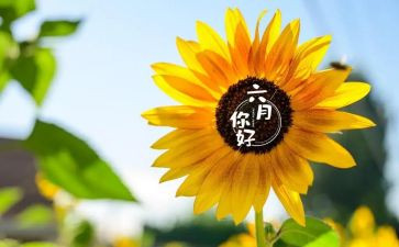 六月的工作总结6篇