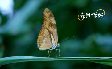 小班六月份工作计划6篇
