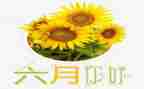 六月的工作总结优秀6篇