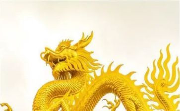恐龙节读后感6篇
