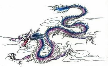 龙舟作文300字5篇