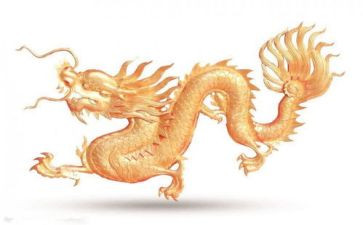 游九龙瀑作文7篇