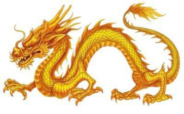 恐龙读后感7篇
