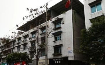 楼院支部书记述职报告最新8篇