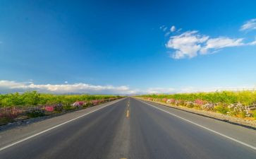 教育道路交通安全总结6篇