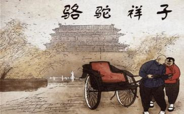 骑骆驼作文最新6篇