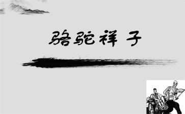 骆驼湾心得体会模板8篇