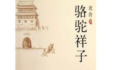 骆驼祥心得体会8篇