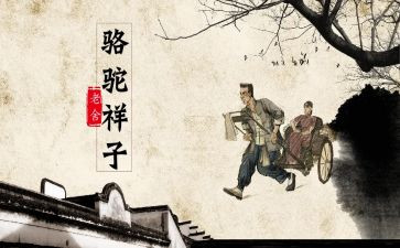 骆驼湾心得体会优秀7篇