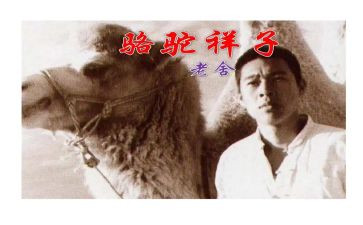 骆驼教学反思7篇