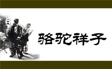 骆驼祥子的心得体会800字5篇