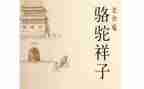 骆驼祥子的心得体会六百字7篇