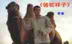 骆驼读后感400字参考8篇