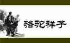 骆驼祥子的心得体会800字5篇