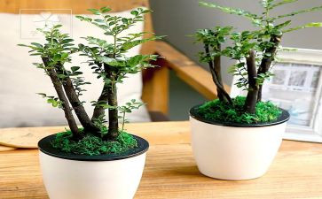 绿化工的工作总结5篇