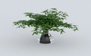 2024年绿化股工作总结优质7篇