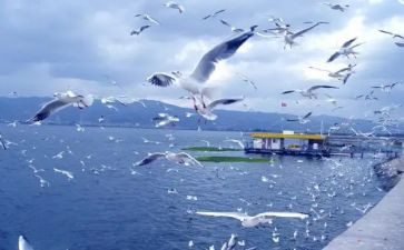 旅游局年终总结优秀8篇