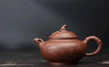 就这样埋下一颗种子作文5篇
