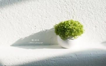 傲慢和偏见心得体会通用5篇
