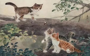 你的猫的作文8篇