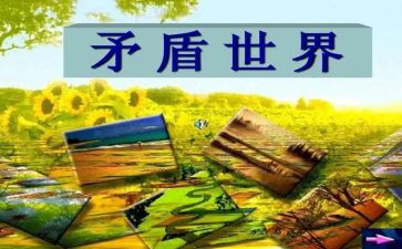 矛与盾教案大班教学反思6篇