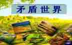 矛与盾教案大班教学反思6篇