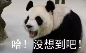真没想到的作文400字8篇