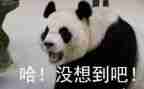 真没想到的作文400字8篇