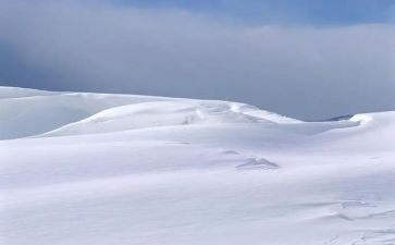 写冬天下雪的作文6篇