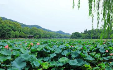 市培美育心得体会推荐6篇