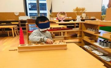 幼儿园蒙氏教师述职报告通用7篇