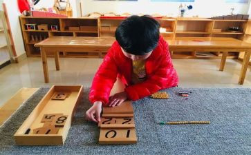 蒙氏银行培训心得体会模板6篇