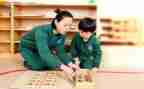 幼儿园蒙氏个人总结8篇