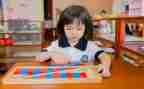 幼儿园大班蒙数教学计划6篇